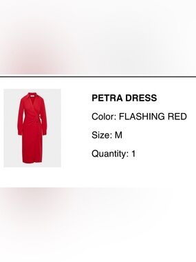 Aritzia PETRA Dress in Flashing Red